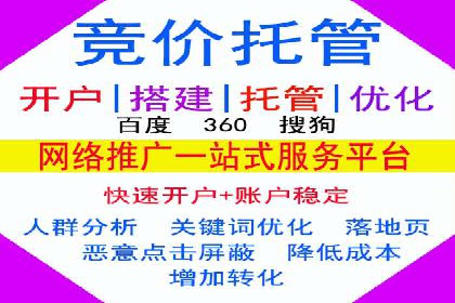 SEM运营策略案例分析